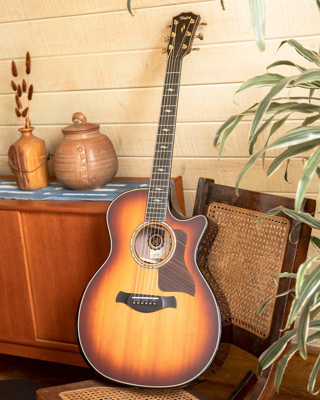 Taylor Guitars 50th Anniversary Collection