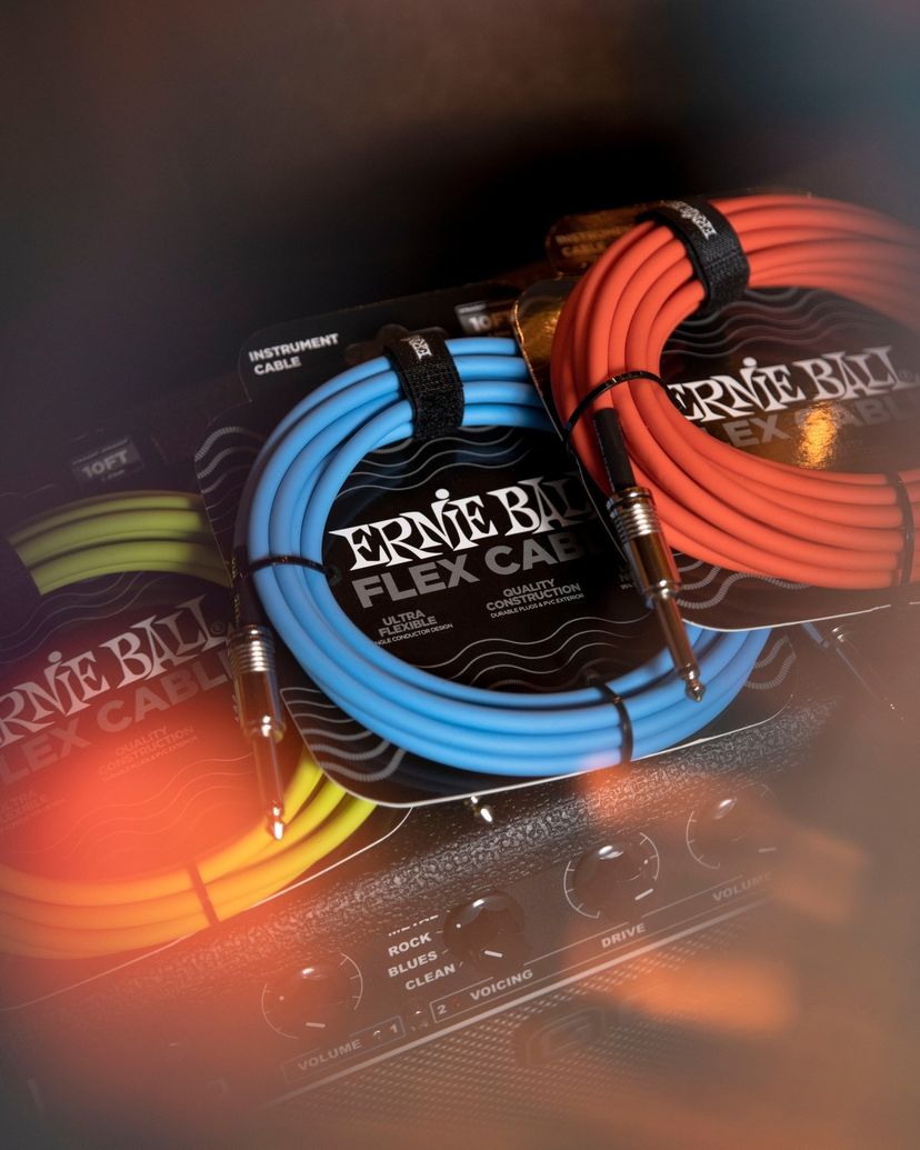 Ernie Ball Cables