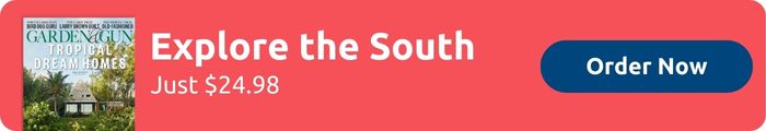 Explore the South Just twenty four ninety eight Order Now